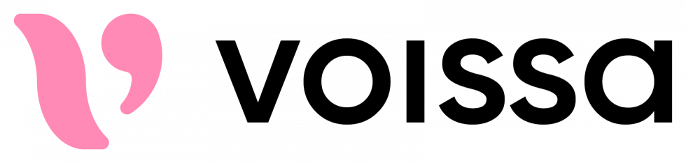 VOISSA GUIDE COMPLET 2025 visual data 4