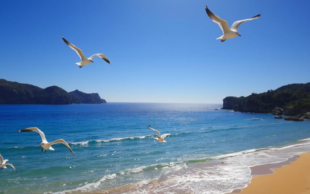 Tout savoir sur la plage de l’Osticoni en Corse