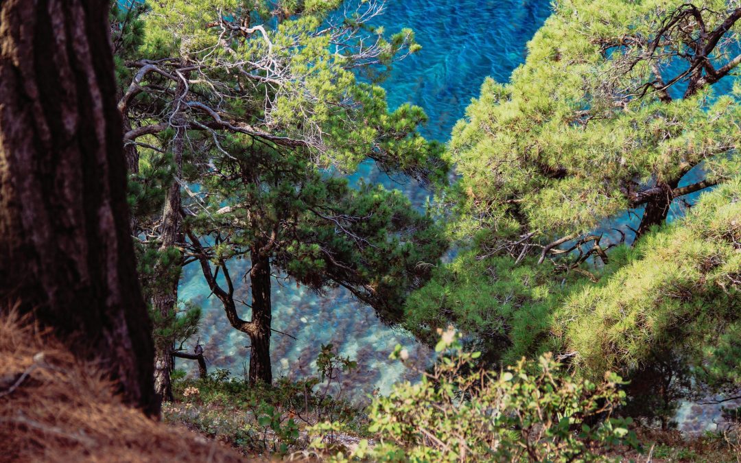 Porto Corse: paysages à couper le souffle et conseils pratiques de voyage