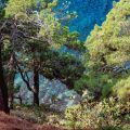porto corse decouvrez des paysages enchanteurs 1759572130 scaled Porto Corse: découvrez des paysages enchanteurs