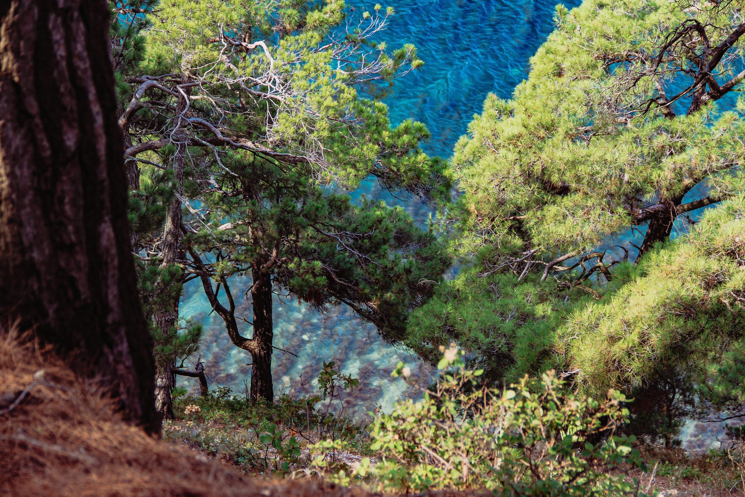 Porto Corse: découvrez des paysages enchanteurs