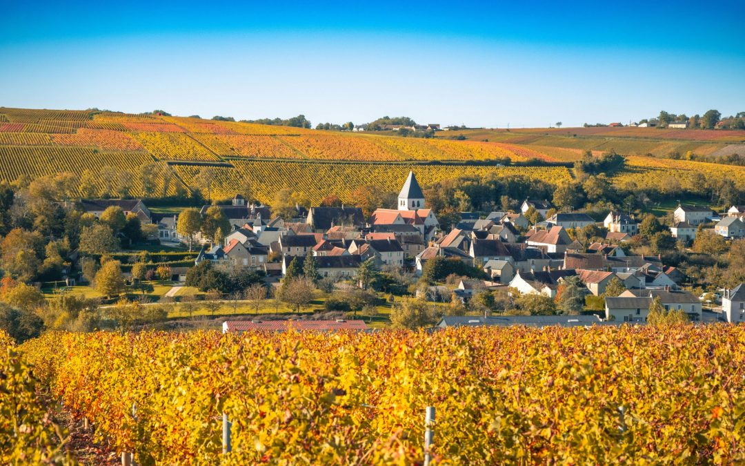 Visiter Beaune: activités incontournables pour un séjour culturel et gastronomique