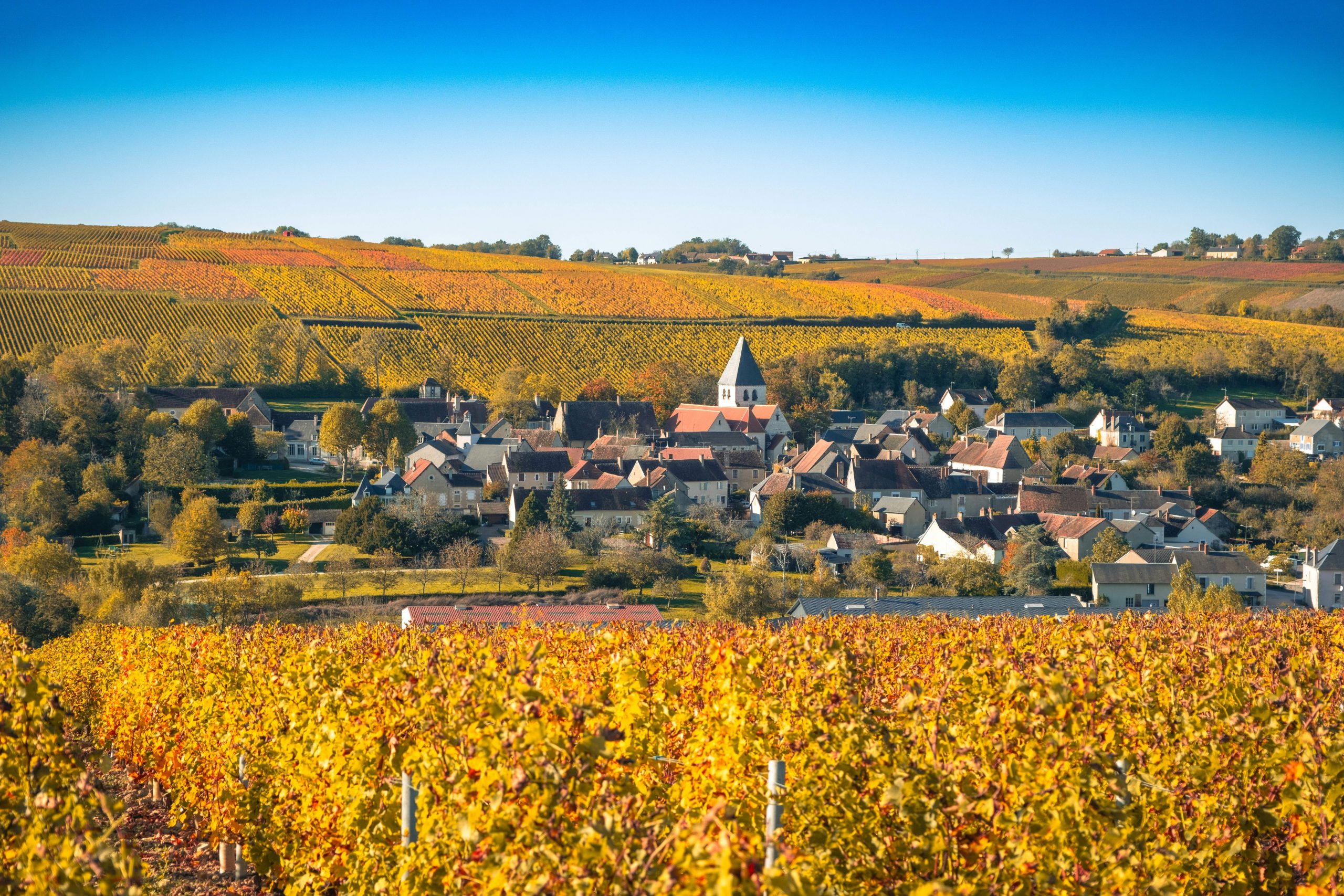 Visiter Beaune: secrets d'un séjour inoubliable