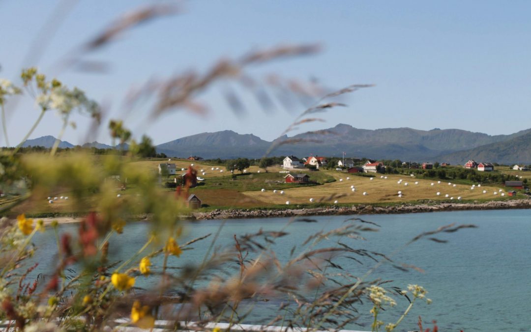 Que faire à Cassis: guide pour visiter Cassis et ses incontournables