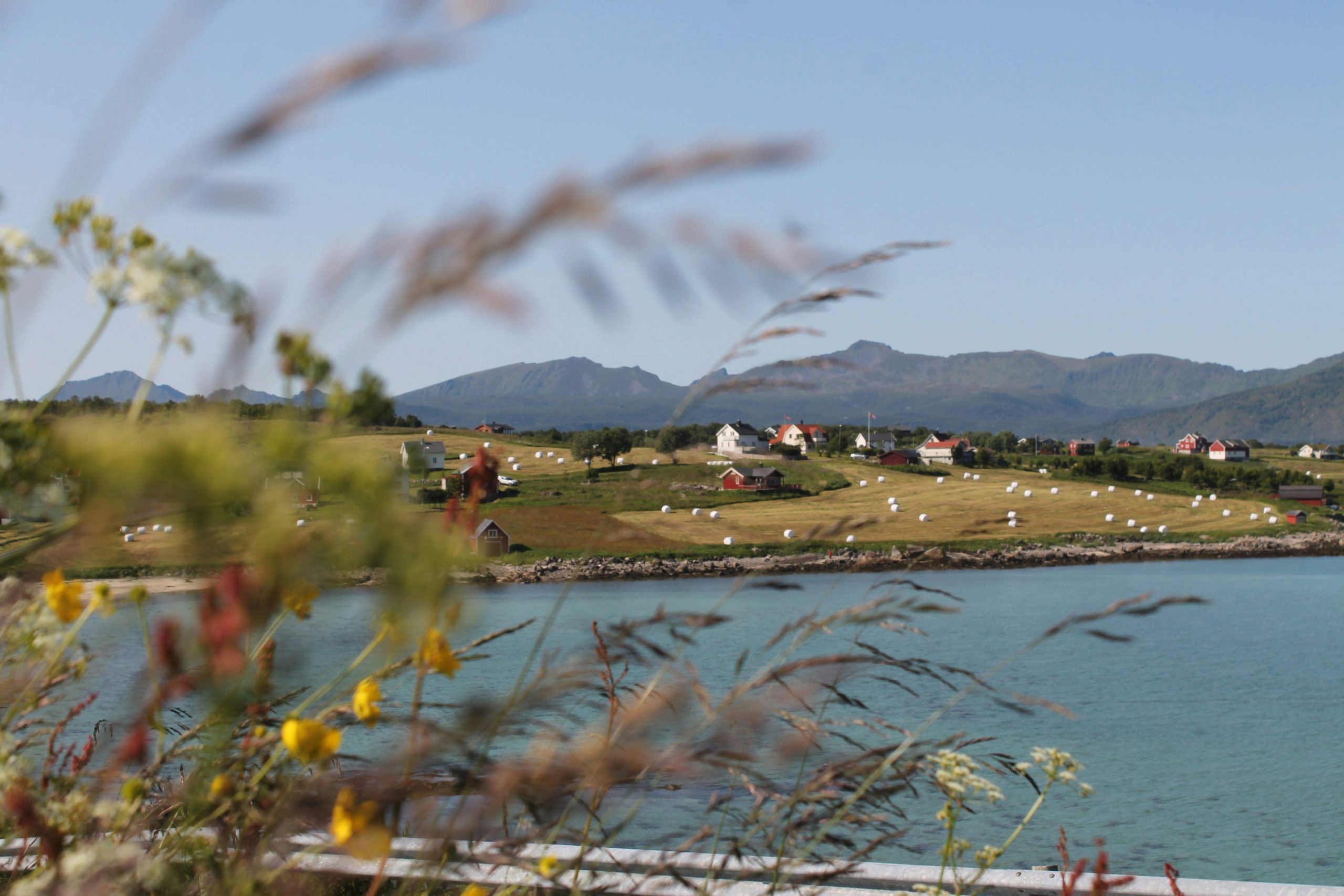 Visiter Cassis: découvrez ses trésors cachés