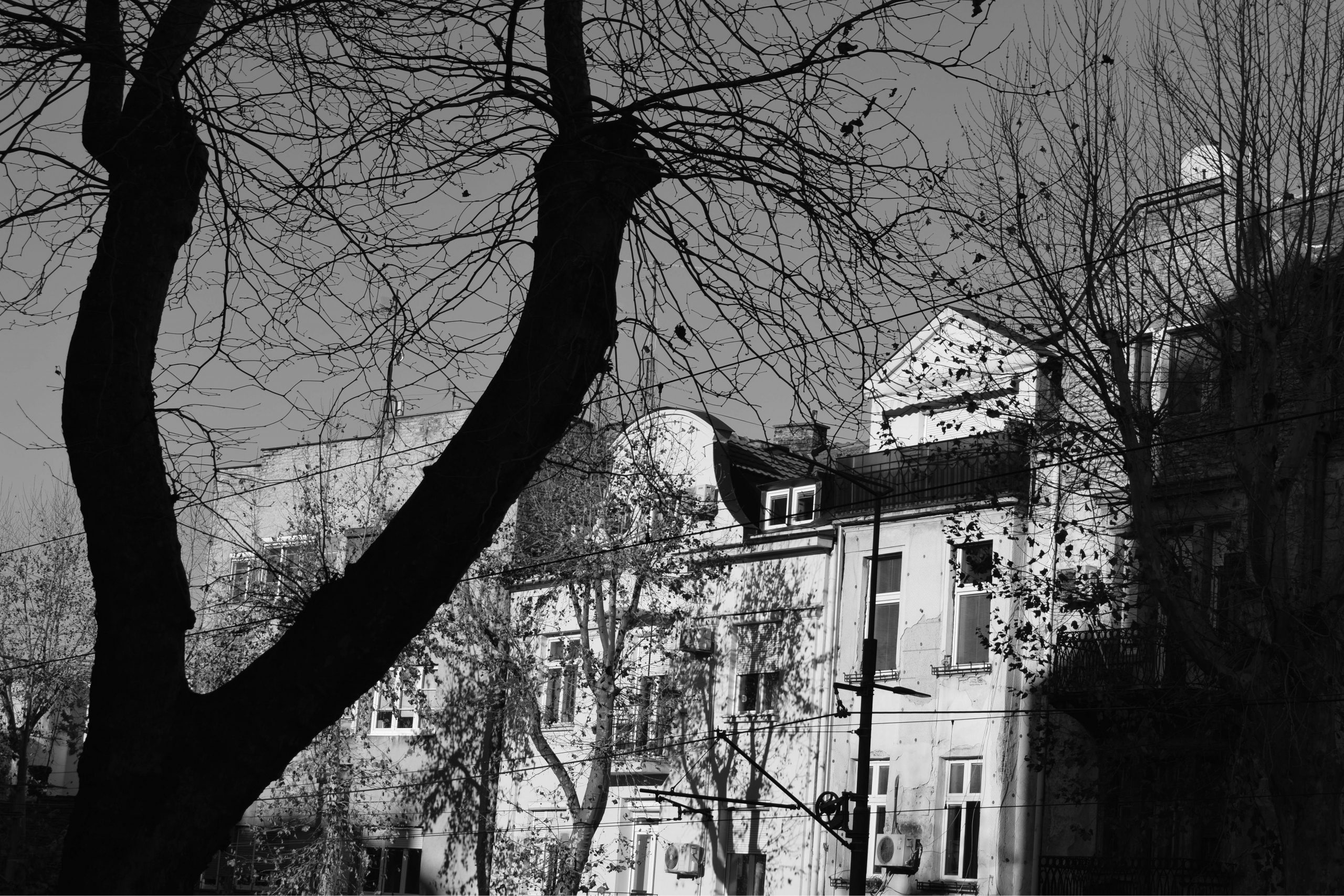 visiter-nancy-tresors-caches visiter-nancy-tresors-caches