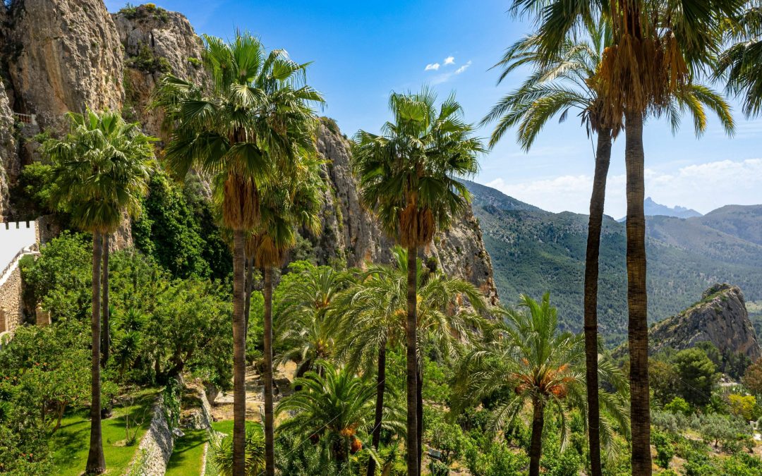 Visiter Palma: activités incontournables et conseils pratiques