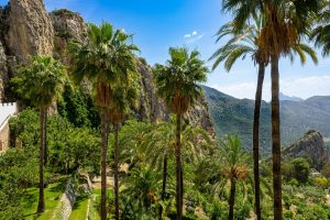 Visiter Palma: secrets et conseils pour un séjour réussi