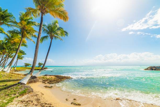 219323 Guadeloupe Antilles séjour vacances famille plages